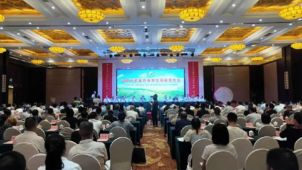 best365网页版登录总经理刘新安当选益阳市茶业协会会长